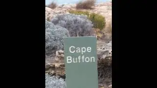Canunda National Park   South Australia
