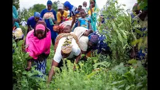 Transforming Livelihoods in the Sahel Region: Lands of Opportunity Project Impact