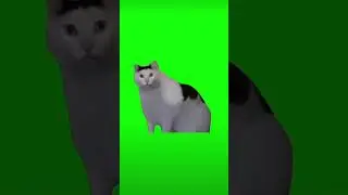title background video green fireplace #greenscreen #cartoon