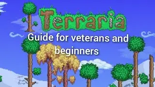 Terraria guide