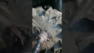Жесть в авто сервисе #жестьавтосервис