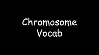 Chromosome Vocab