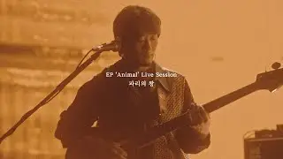 쏜애플(THORNAPPLE) -'파리의 왕' (EP 'Animal' Live Session)