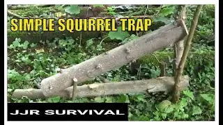 Grey Squirrel Trap Survival Squirrel Trap