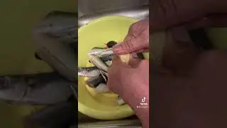How to cook Filipino Paksiw! Shorts