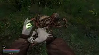 Skyrim + RFaD + много модов. Часть 1. Некромант