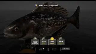 Центролоф чёрный🍀Русская рыбалка 4🍀РР4🍀RF4🍀Трофей на патерностер🍀