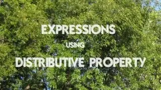 Expressions With The Distributive Property - New