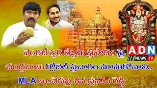 వెంకటేశ్వర స్వామి ప్రసాదం పై చంద్రబాబు గ్లోబెల్ ప్రచారం మానుకోవాలి.. : దర్శి MLA బూచేపల్లి
