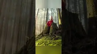 Татарская народная песня "Урманнарда йөредем".