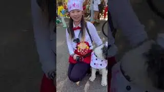 Today was the always fun Tompkins Square Park Halloween Dog Parade in New York City  🐶🐕🦮🐩🐕‍🦺🐾🦴