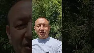 Казахстан. Пасека. #bee #пчела