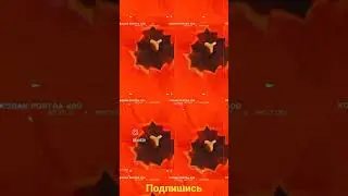 мои тюльпаны с огорода