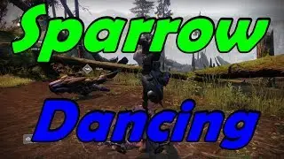 Destiny 2 How To Sparrow Dance