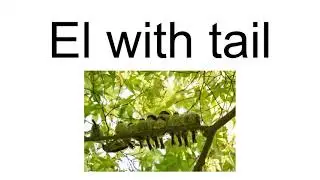 El With Tail