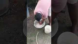Vivasayam and harvesting #shorts #farming #viral