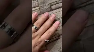 Когда ты дурень
