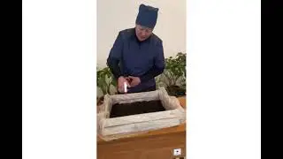 Интенсивдуу технология помидор остуруу