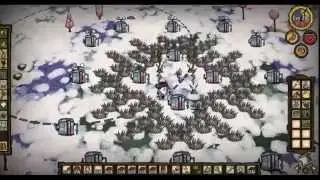 Birds of the World Fire Farm