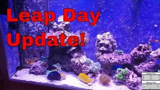 125 gallon reef tank update - 2 29 20