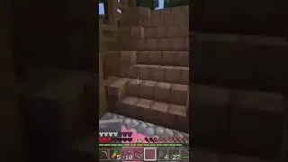 He fell to the red screen#shorts #minecraftshorts