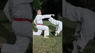 Luta combinada do taekwondo Matcho Kyorugui