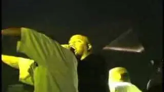 Trae live 1