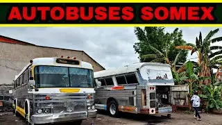 AUTOBUSES MASA SOMEX