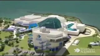 ZooNation TV - Ep 3
