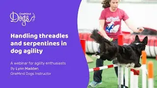 FREE Agility Webinar: Handling threadles and serpentines in dog agility