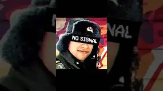 телеграм Админа НеШерстобитова 