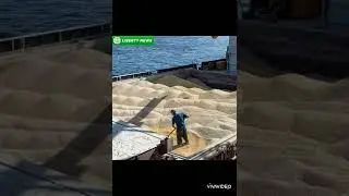 В БРИТАНИИ ЗЕРНОВОЙ КРИЗИС