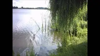 Mike Mareen Stand Up Long Ultra 12 version by ingo silber