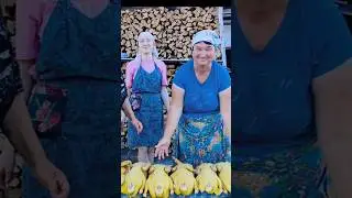 Ой,були у мене качки ! 🌻 Ukraine