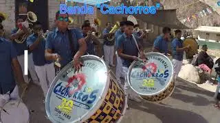 Banda  Cachorros