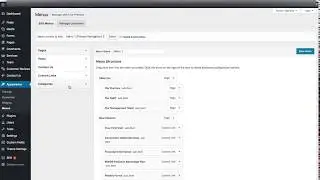 How to Add Custom Post Types to WordPress Menu (No Audio) | NeONBRAND