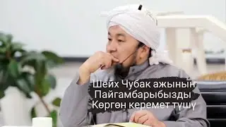 узтаз шейх Чубак ажынын Пайгамбарыбызды көргөн керемет түшү #насаатмедиа #ислам #Чубакажы
