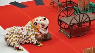 八打靈公中醒獅團  總得 - 8.45