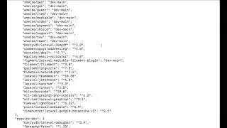 PHP Composer Update