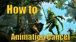 Different Kinds of Animation Cancels and How to do Them (For Beginners)
