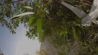 DJI Phantom 2 With GoPro 3 first Flight and Crash