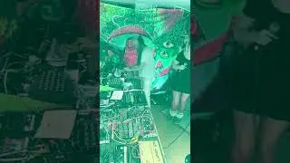 DJ HUNDEFRIEDHOF - Katzenenergie