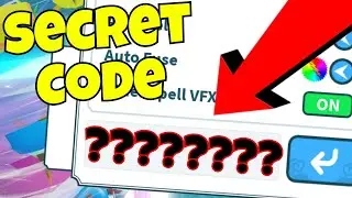 Secret Code [Weapon Fighting Simulator]