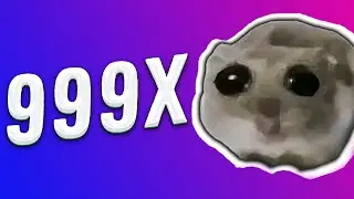 Sad Hamster Violin Meme 999x speed