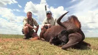 Blackwildebeest and blesbuck Hunt 2023