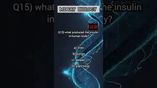 biology MCQs| mdcat | science | neet | mdcart 2024 #nmdcatbiology #foryou #youtubeshorts #fypシ゚viral