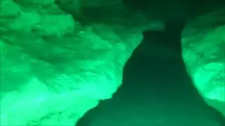 Freediving Morrison Springs - May 2021