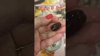 Продолжение. Лотос орехоносный.