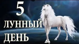 Рожденные в 5 лунный день