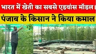 खेती का यह नायाब तरीका !😳कमाई हैरान कर देगी | high tech farming| aquaponic farming punjab| themedium